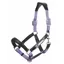 LeMieux Capella Headcollar - Iris